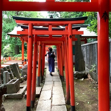 ご近所同級生と巡る！秋の根津神社と登録有形文化財の老舗店でいただく串揚げディナー