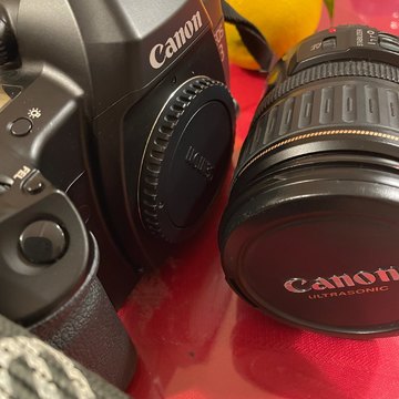 趣味の一眼レフカメラを再び