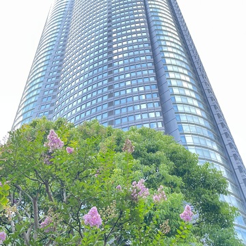 アフリカローズに囲まれて