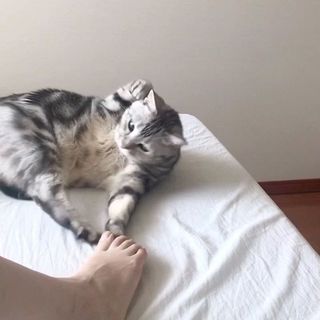 ママなんて、テイッ！テイッ！