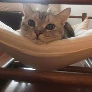 寒くなってきましたにゃ