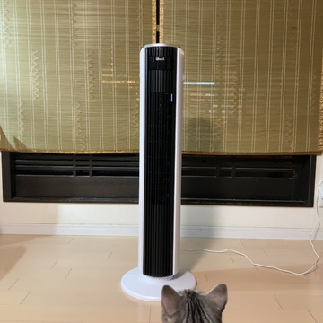 寝ている間にきれいに「美容睡眠」梅雨の寝苦しさを乗り越え良質な眠りを手にいれる