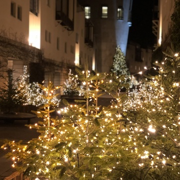 アクティビティ充実な『リゾナーレ八ヶ岳』へ【山梨県八ヶ岳の旅①】
