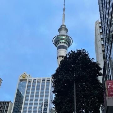 KIWI、羊、ラグビー、大自然で有名なニュージーランドへ行って来ました！