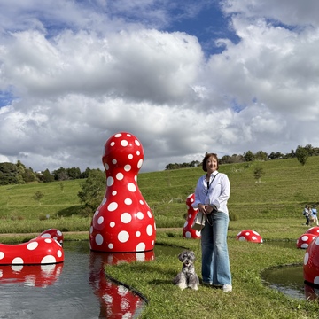 千葉「クルックフィールズ」は農と食とアートの新感覚パーク