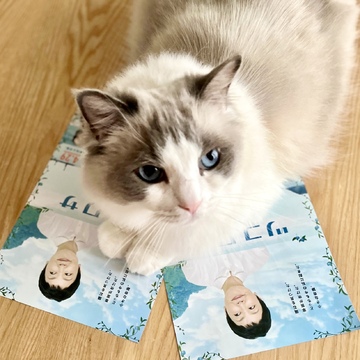 小林聡美さん主演　映画『ツユクサ』　舞台挨拶付き特別上映