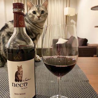 ワインのモデルに⁉