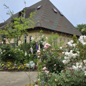 淡路島へお出掛け