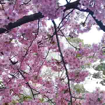 ハレの日の服をどう選ぶ？　スタイリスト望月律子さんのAllons-yへ