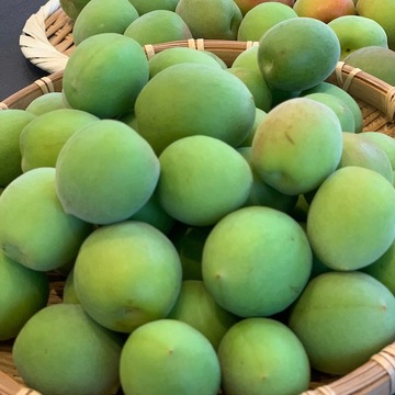 初夏のおうち時間  〜季節の手仕事を楽しむ〜