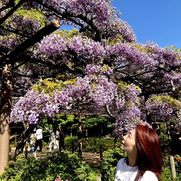 花言葉「あなたを歓迎します」