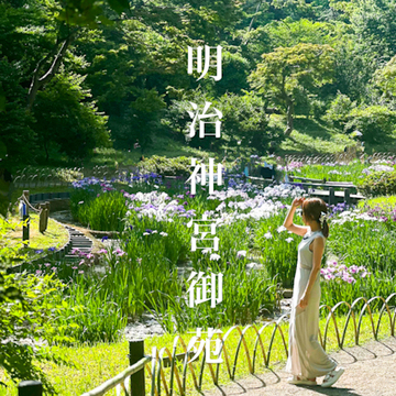 【明治神宮御苑】花菖蒲2025.6.7
