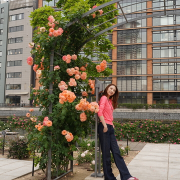 舞台前の気分転換、中之島バラ園へ🌹