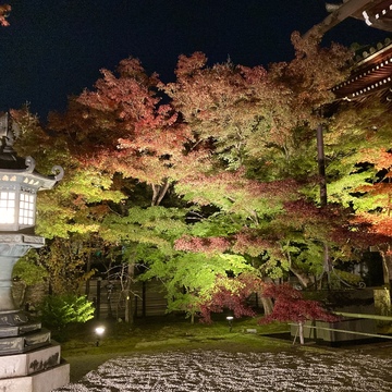  秋はもみじの永観堂