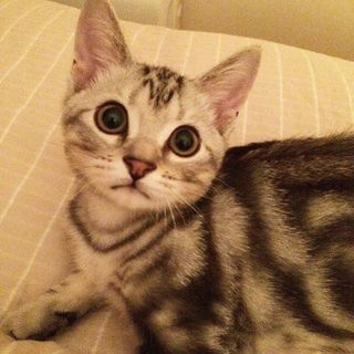 生後3ヶ月、ヤンチャ顔のアラン