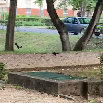 月１ハンガリー　小旅行　　　　