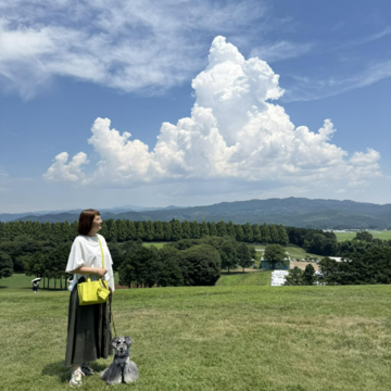 那須の夏休み・大空と馬とひまわりと