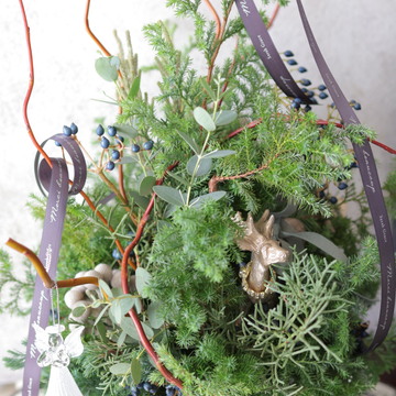 Christmas Treeがラッキーアイテムみたい🌲