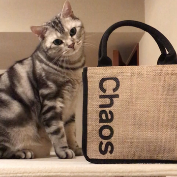 4月号付録のPRニャンバサダー