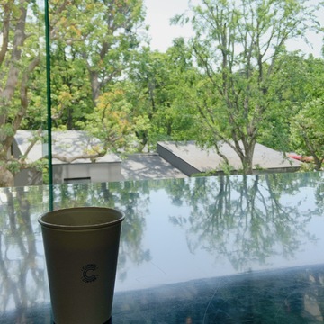 【平日限定】素敵なカフェは緑がいっぱい！