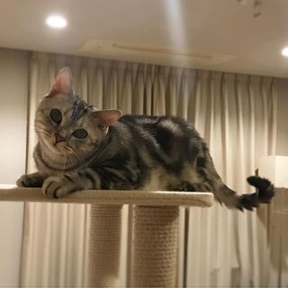 寝ないで、遊ぼうよ！