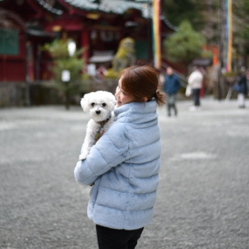 箱根神社へ新年のご挨拶⛩️