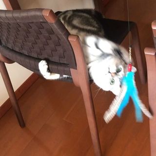 アランのハンティング！？