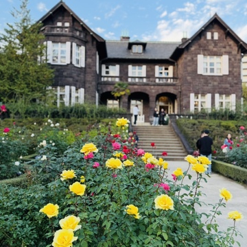 美しいバラと紅葉、旧古河庭園へ