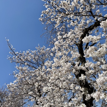 新しいコスメを購入しました♪