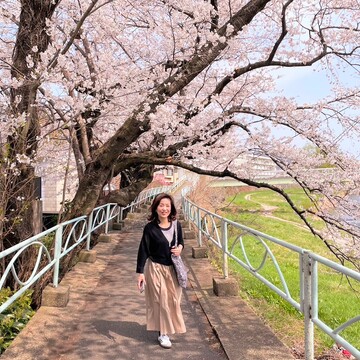 東北に桜の季節がやってきました🌸