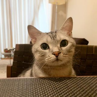 見ててあげるね