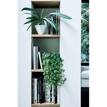 【グリーンを洗練させるアイデア】部屋と心に広がりが生まれる！グリーンインテリア術