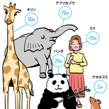 “食べるもの”が寿命を左右する？寿命ランキングで読み解く、動物たちの生きる力