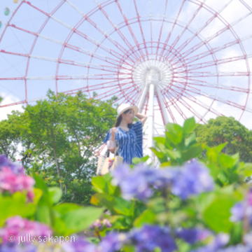 【さかぽんの冒険】初夏のお台場 あじさい散策