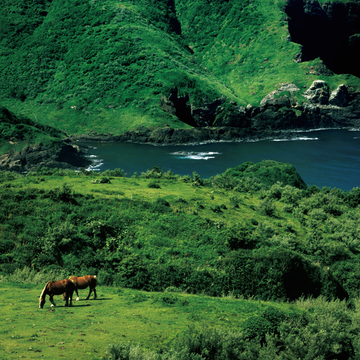 【地球のダイナミックさを感じる旅】パワーとやさしさに包まれに、隠岐アイランドへ