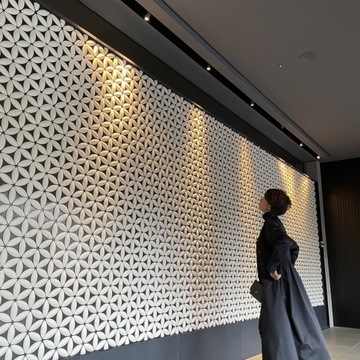 京都の旅記録⭐︎超お薦めリッツ『アートツアー』