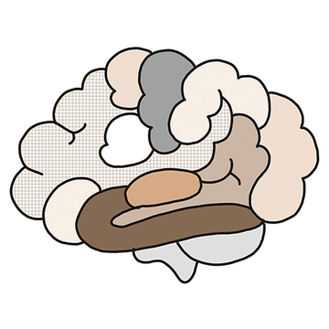 なぜアラフィーの脳はとっちらかるの？ 8つの“脳番地”を知れば、脳がグンと片づきます！