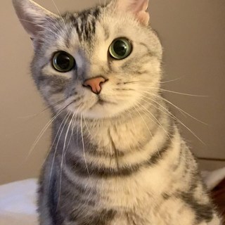 モーニングコール（動画、音声もぜひ！）