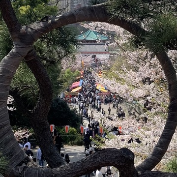 毎年必ず4月1日に私が行く所