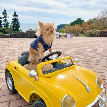 愛犬と春の伊豆へ♡