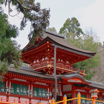 藤を訪ねて～奈良春日大社へドライブデート