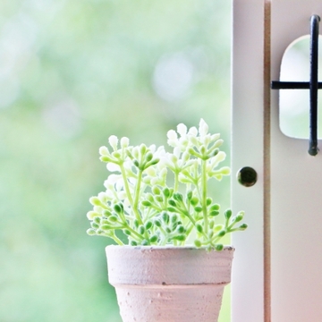 50代、Jマダムに人気のインテリアスタイルは……