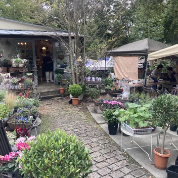 秋の気配を感じ森のお店を訪れました。🌲