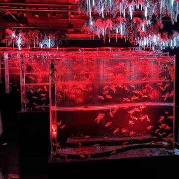 幻想的なアートアクアリウムと庭園カフェ