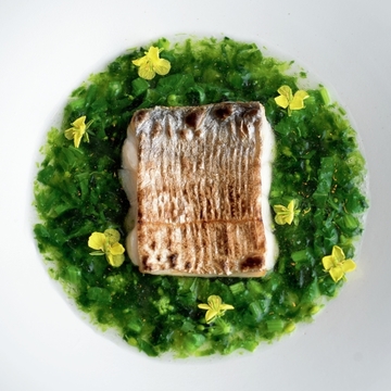 味も空間もアップデート。繁盛和食店の新天地『白金高輪 わたなべ』