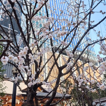 気の置けない女友達と行く日本橋散策！小旅行気分を満喫しました！