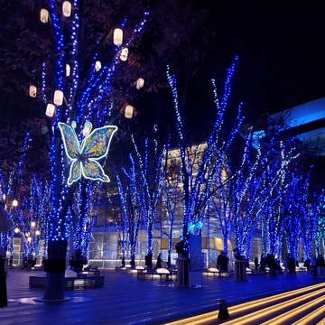 イルミネーションの穴場スポット☆たまアリ△タウンけやきひろば