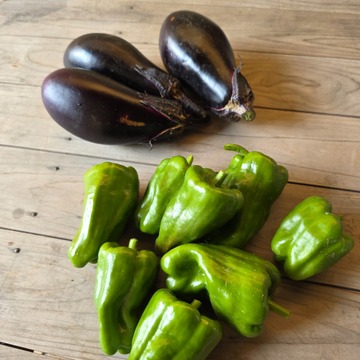 最近のお野菜たち