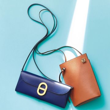 【幸福財布2023】ロエベとエルメスのポーチ型財布