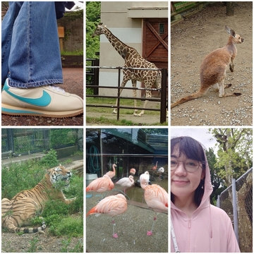 ナイキの元気色スニーカーで童心にかえった日🦒🐘🦁